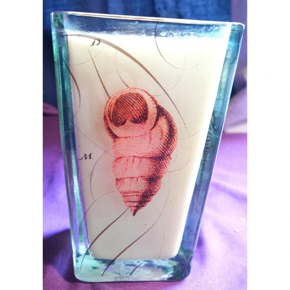 VTG Hurricane Candle in Glass Holder Scintific/Botanical Seashell Print Seahorse